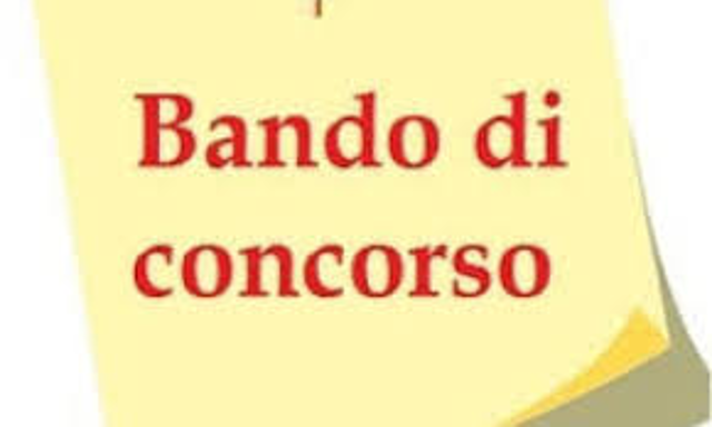 Concorso pubblico di collaboratore professionale
